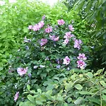Le Jardin D'epicure 4*