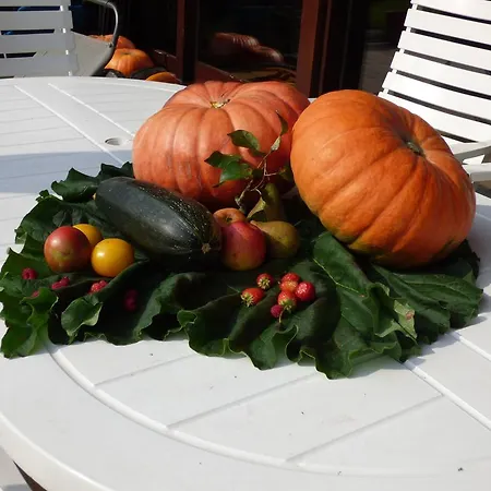 Le Jardin D'epicure 4*