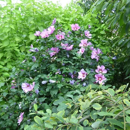 Le Jardin D'epicure 4*