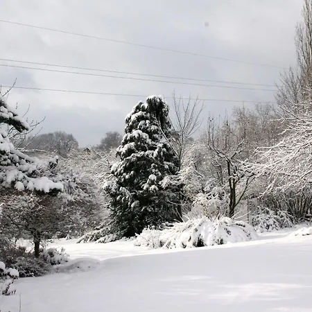 Le Jardin D'epicure Bed & Breakfast Olne