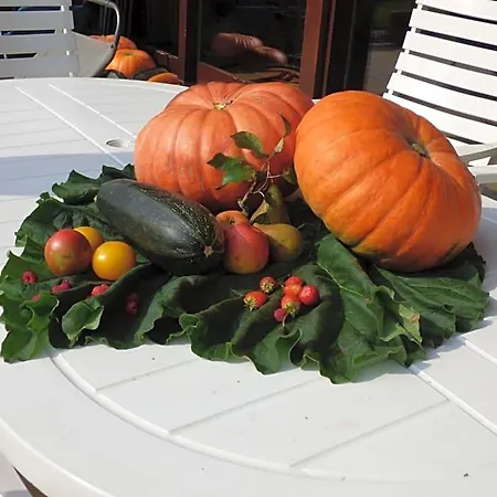 Le Jardin D'epicure 4* Olne