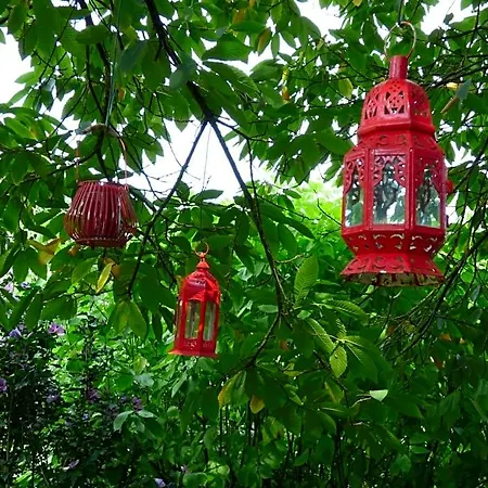 ベッド・アンド・ブレックファスト Le Jardin D'epicure Olne